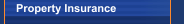 Property Insurance