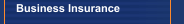 Business Insurance